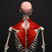 Anatomy by Muscle & Motion 2.5.3