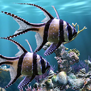 The real aquarium - HD 2.35