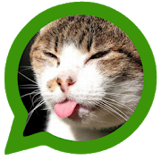 Cats for social networks 1.0