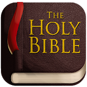 Holy Bible 80