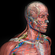 Introdução à Anatomia Humana 0.5