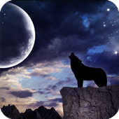 Wolf Moon Live Wallpaper 1.0