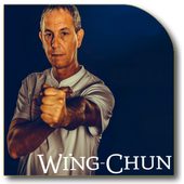 Wing Chun Lessons 1.4