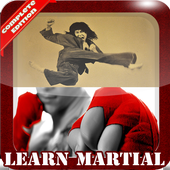 Learn Martial Arts 9.0