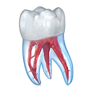 Dental 3D Illustrations 2.0.86