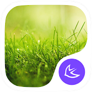 Grass-APUS Launcher theme 585.0.1001
