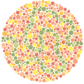 Color Blindness Test 1.2