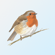eGuide to British Birds 1.4.0