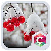 Snowy Cherry C launcher Theme 4.8.7