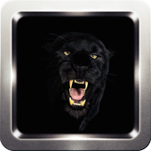 com.doaibu.panther icon