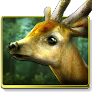 Forest HD 1.6.1