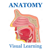 com.flashcardinc.anatomy2 icon