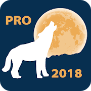 Lunar Calendar PRO 5.1