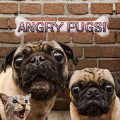Angry Pugs by GetPuggedUp.com 1.0.5