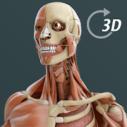 Visual Anatomy 3D - Human 2.06