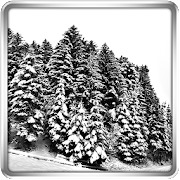 Snowfall 360° Live Wallpaper 1.3.1
