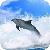 Dolphin in the sea wave LWP 1.0
