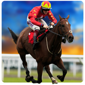 Racing Horse Jump 2016 1.0