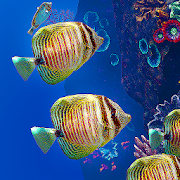 Ocean Aquarium 1.1