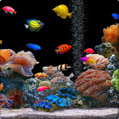 Aquarium Wallpapers 1.0.2