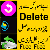 Data Recovery Urdu 1.1