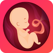 Pregnancy tracker week by week 3.1.2