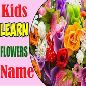 Learning Flowers Name For Kids 0.0