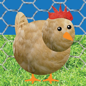 Chicken Pet Game 