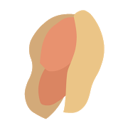 com.saranomy.peanuts icon