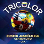 Tricolor Copa América 1.2
