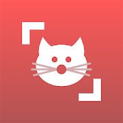 Cat Scanner: Breed Recognition 12.8.15-G
