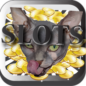 Sphynx cat Slot 1.0