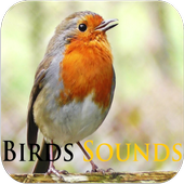 Birds Sounds 1.0