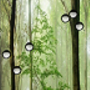 RainDrops Live Wallpapers 1.0