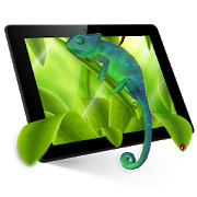 Chameleon 3D Live Wallpaper 1.0