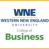 WNE University - BIS 310 20.0