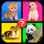 4 images 1 word: Word Games 1.11