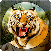 Forest Animal Hunting Games 1.3.4