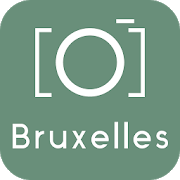 Brussels Guide & Tours 7.0