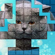 PicPu - Cat Picture Puzzle 6.01