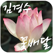 김경수 꽃배달 