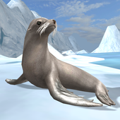 com.wildfoot.sea.lion.simulator icon