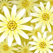 Daisy Flower Live Wallpaper 1.0.5