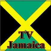 com.yuovx78415.jamaicatvsatinfo icon