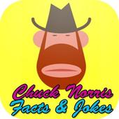 Top 100 Chuck Norris jokes 1.0
