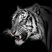 White Tiger Wallpapers 1.0.1