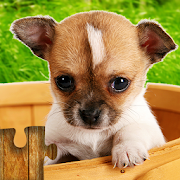 se.appfamily.puzzle.dogs.free icon