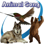 Animal Song 3.6