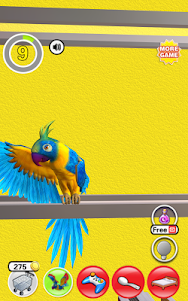 My Talking Parrot 1.3.6 screenshot 23