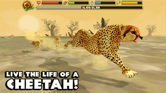 Cheetah Simulator  screenshot 11